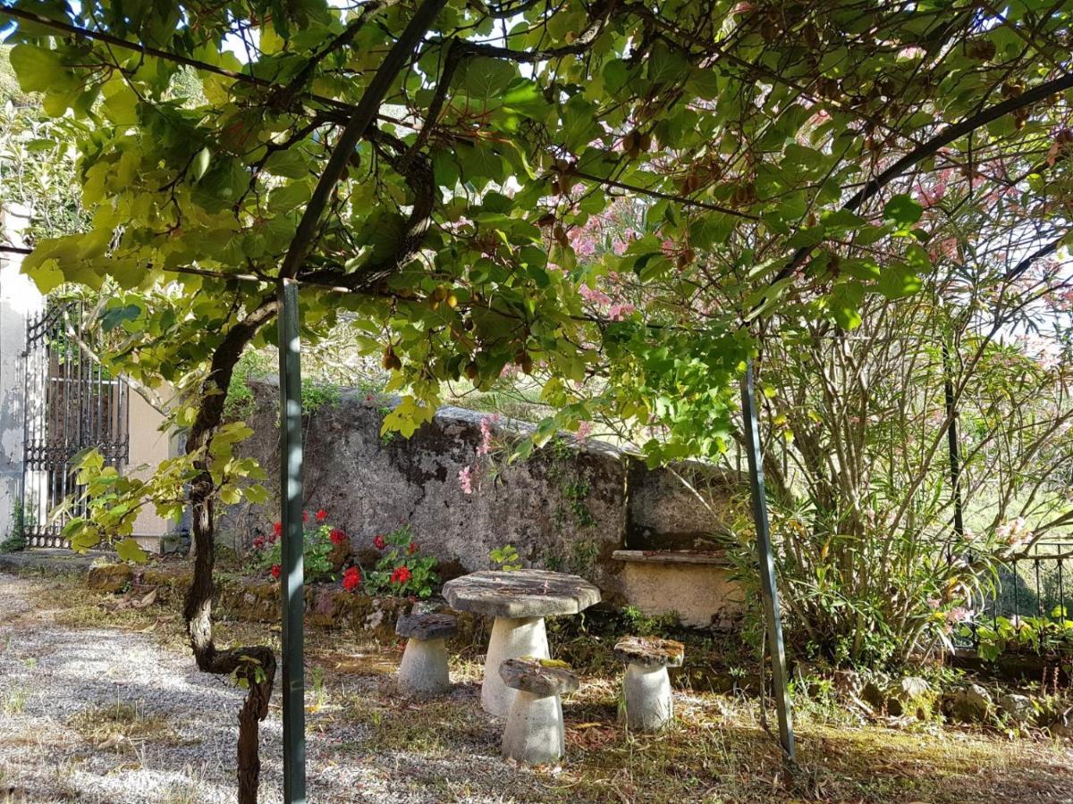 Casa Del Priore *